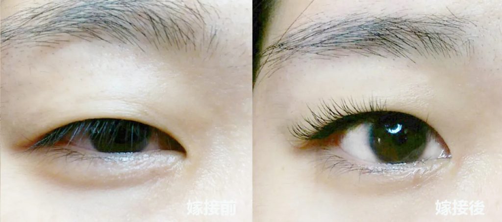 3D美睫嫁接 16 3D美睫嫁接流程-5