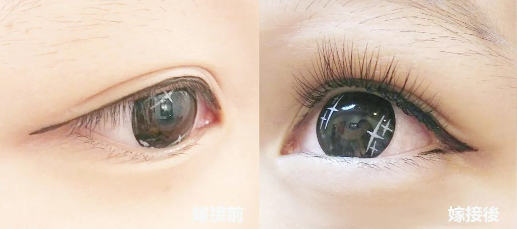 3D美睫嫁接 17 3D美睫嫁接流程-6