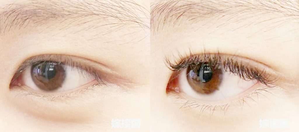 3D美睫嫁接 19 3D美睫嫁接流程-8