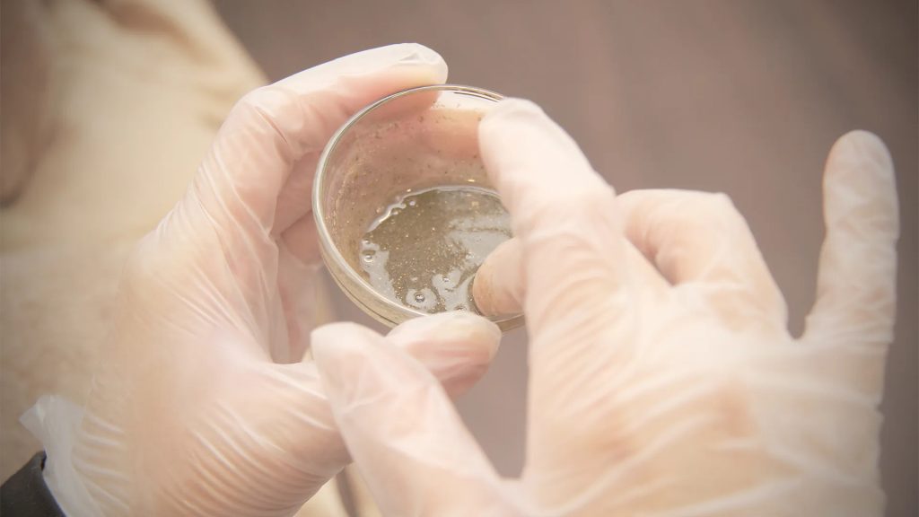 海藻微晶喚膚 3 seaweed microcrystal peel process 01