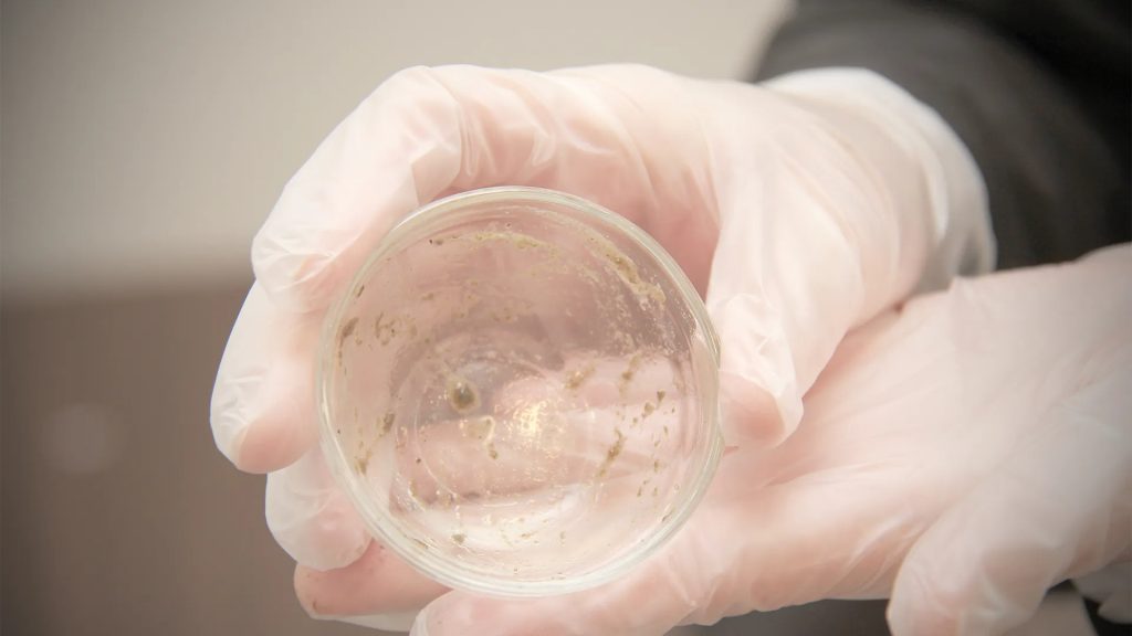 海藻微晶喚膚 7 seaweed microcrystal peel process 05